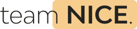 Team NICE logo
